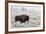 Late Fall Yellowstone-Alfred Forns-Framed Photographic Print