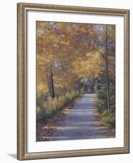 Late Fall-Diane Romanello-Framed Art Print