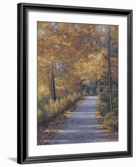 Late Fall-Diane Romanello-Framed Art Print