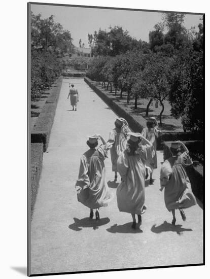 Late For Graduation, Five Seniors Holding on to Their Caps and Race to the Ceremony-Ed Clark-Mounted Photographic Print