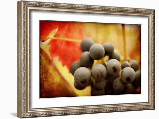 Late Harvest-Jessica Rogers-Framed Giclee Print