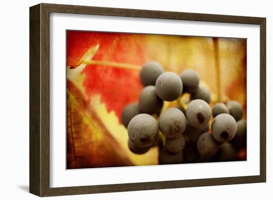 Late Harvest-Jessica Rogers-Framed Giclee Print