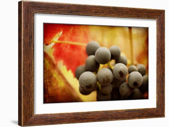 Late Harvest-Jessica Rogers-Framed Giclee Print