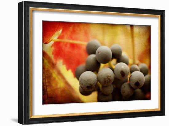 Late Harvest-Jessica Rogers-Framed Giclee Print