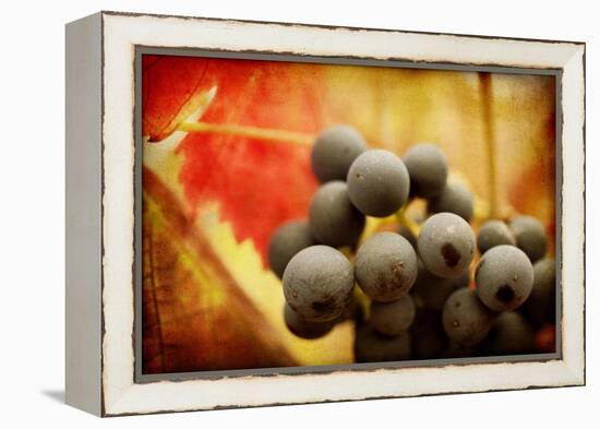 Late Harvest-Jessica Rogers-Framed Premier Image Canvas