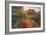 Late in the Day, Roadside Wildflowers-null-Framed Photographic Print