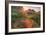 Late in the Day, Roadside Wildflowers-null-Framed Photographic Print