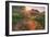 Late in the Day, Roadside Wildflowers-null-Framed Photographic Print