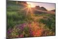 Photographic Print