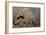 Late iron age bronze brooch of a bird-Unknown-Framed Giclee Print