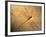 Late Jurassic Dragonfly Fossil-Layne Kennedy-Framed Photographic Print