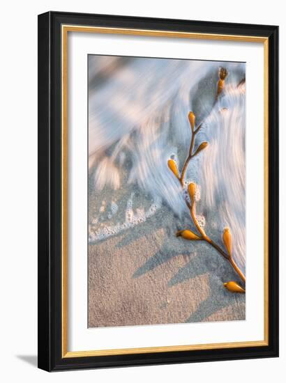 Late Light Beach Detail 2-Vincent James-Framed Photographic Print