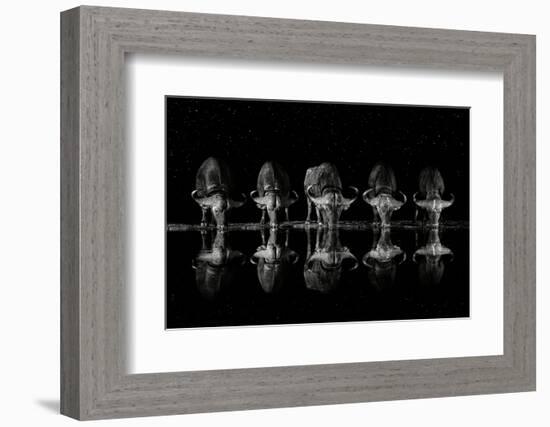 Late Night Drink-Xavier Ortega-Framed Photographic Print