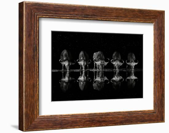 Late Night Drink-Xavier Ortega-Framed Photographic Print