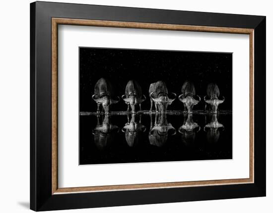 Late Night Drink-Xavier Ortega-Framed Photographic Print