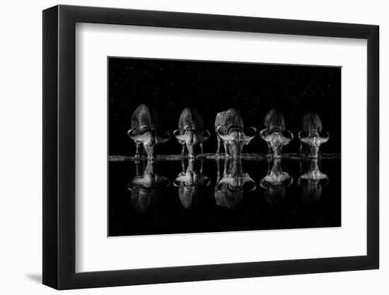 Late Night Drink-Xavier Ortega-Framed Photographic Print