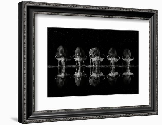 Late Night Drink-Xavier Ortega-Framed Photographic Print