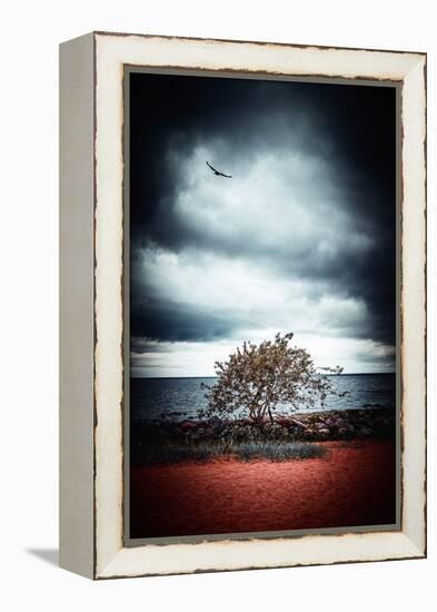 Late Night Feelings-Philippe Sainte-Laudy-Framed Premier Image Canvas