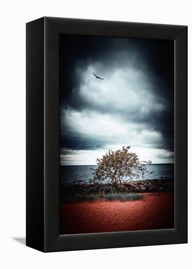 Late Night Feelings-Philippe Sainte-Laudy-Framed Premier Image Canvas