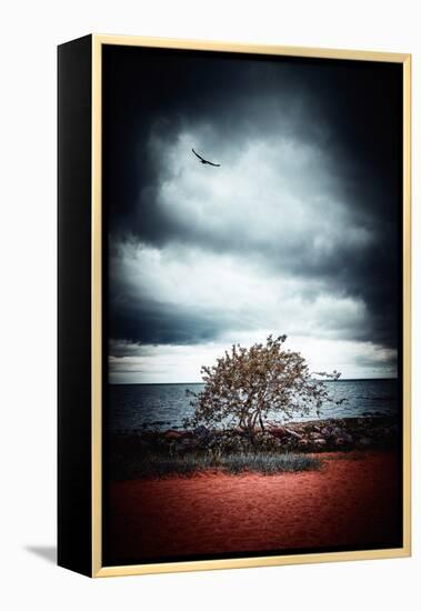 Late Night Feelings-Philippe Sainte-Laudy-Framed Premier Image Canvas