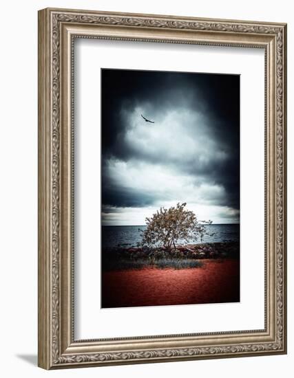 Late Night Feelings-Philippe Sainte-Laudy-Framed Photographic Print