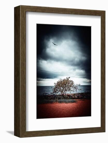 Late Night Feelings-Philippe Sainte-Laudy-Framed Photographic Print