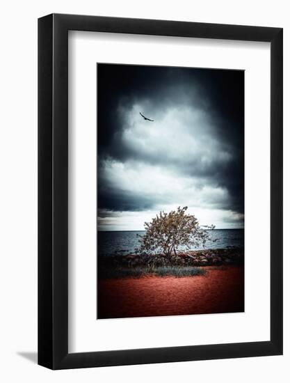 Late Night Feelings-Philippe Sainte-Laudy-Framed Photographic Print