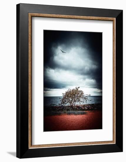 Late Night Feelings-Philippe Sainte-Laudy-Framed Photographic Print