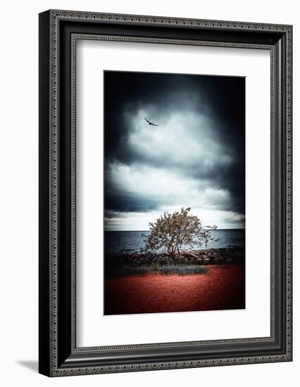 Late Night Feelings-Philippe Sainte-Laudy-Framed Photographic Print