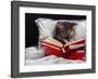 Late Night Thriller-Lucia Heffernan-Framed Art Print