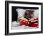 Late Night Thriller-Lucia Heffernan-Framed Art Print