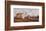 Late November-Ray Hendershot-Framed Art Print