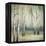 Late September Birch I-Michael Marcon-Framed Stretched Canvas