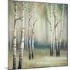 Late September Birch I-Michael Marcon-Mounted Giclee Print