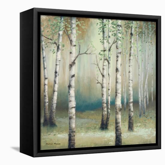 Late September Birch II-Michael Marcon-Framed Stretched Canvas