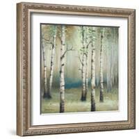 Late September Birch II-Michael Marcon-Framed Art Print