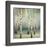 Late September Birch II-Michael Marcon-Framed Art Print