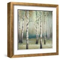 Late September Birch II-Michael Marcon-Framed Art Print