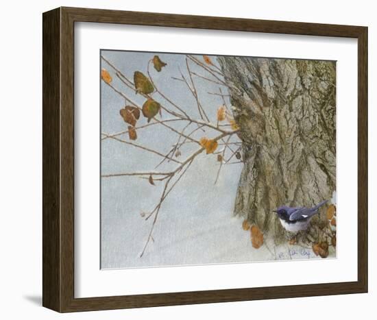 Late Snow Warbler-Chris Vest-Framed Art Print