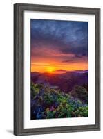 Late Spring Sunrise Magic, Mount Diablo, Lafayette, California, Oakland-Vincent James-Framed Photographic Print
