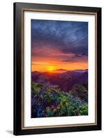 Late Spring Sunrise Magic, Mount Diablo, Lafayette, California, Oakland-Vincent James-Framed Photographic Print
