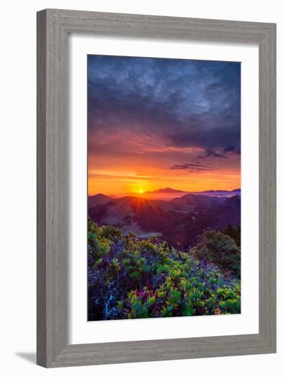 Late Spring Sunrise Magic, Mount Diablo, Lafayette, California, Oakland-Vincent James-Framed Premium Photographic Print