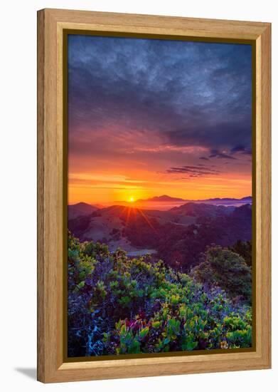 Late Spring Sunrise Magic, Mount Diablo, Lafayette, California, Oakland-Vincent James-Framed Premier Image Canvas