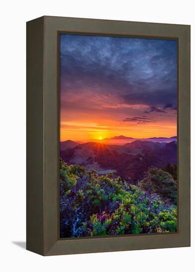 Late Spring Sunrise Magic, Mount Diablo, Lafayette, California, Oakland-Vincent James-Framed Premier Image Canvas