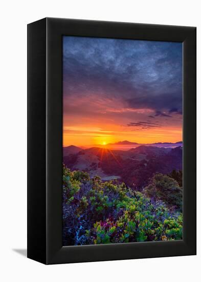 Late Spring Sunrise Magic, Mount Diablo, Lafayette, California, Oakland-Vincent James-Framed Premier Image Canvas