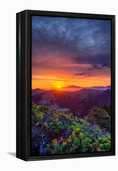 Late Spring Sunrise Magic, Mount Diablo, Lafayette, California, Oakland-Vincent James-Framed Premier Image Canvas