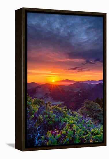 Late Spring Sunrise Magic, Mount Diablo, Lafayette, California, Oakland-Vincent James-Framed Premier Image Canvas