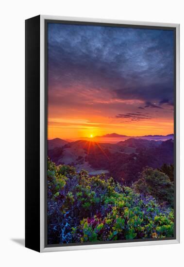 Late Spring Sunrise Magic, Mount Diablo, Lafayette, California, Oakland-Vincent James-Framed Premier Image Canvas