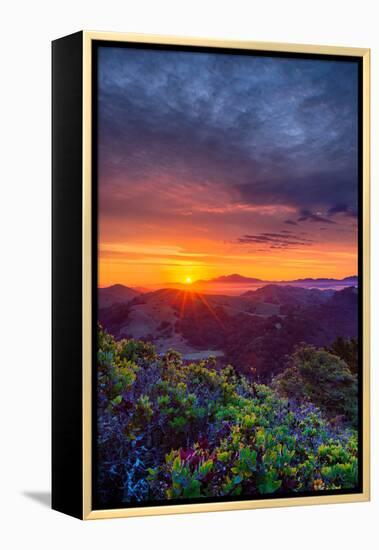 Late Spring Sunrise Magic, Mount Diablo, Lafayette, California, Oakland-Vincent James-Framed Premier Image Canvas