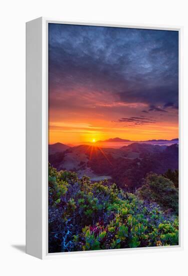 Late Spring Sunrise Magic, Mount Diablo, Lafayette, California, Oakland-Vincent James-Framed Premier Image Canvas